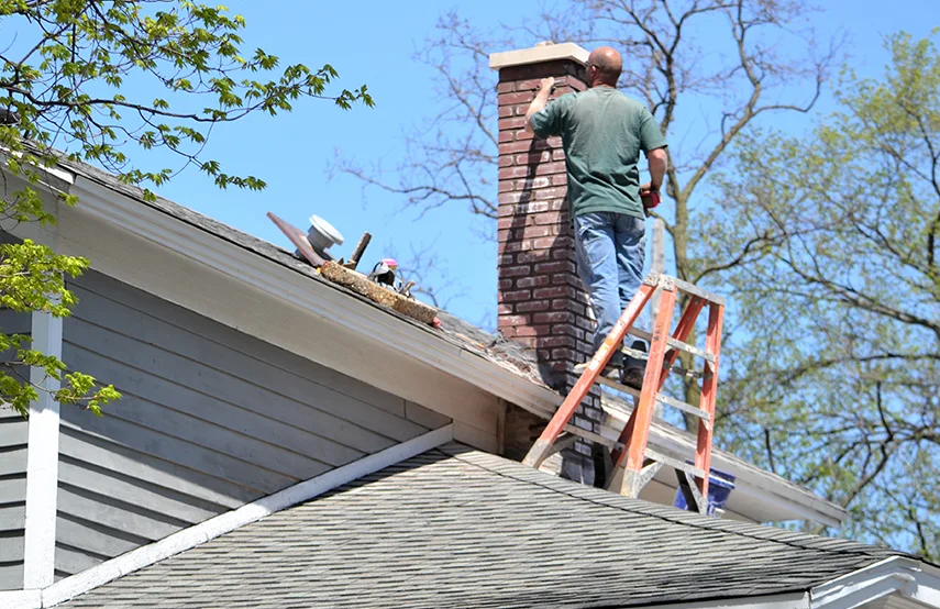 Chimney & Fireplace Inspections Services in Cudahy, WI